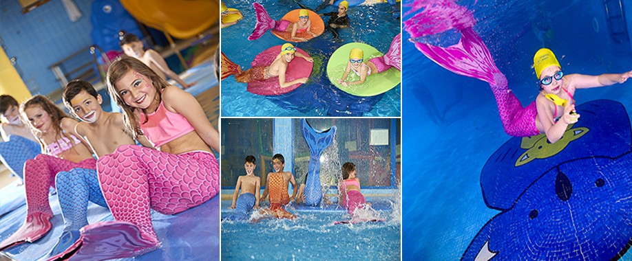 Celebración de cumpleaños en Madrid - Pequeño Koala